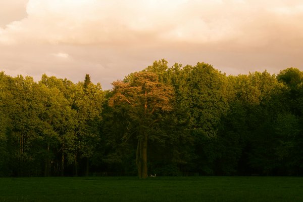 Incorporer la routine de massage dans le quotidien des seniors